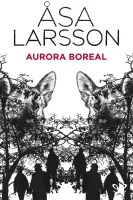 Aurora boreal