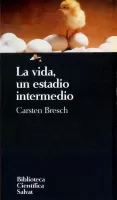 La vida, un estadio intermedio