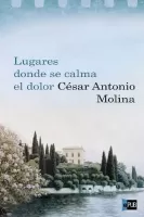 Lugares donde se calma el dolor