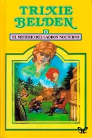 El misterio del ladrón nocturno