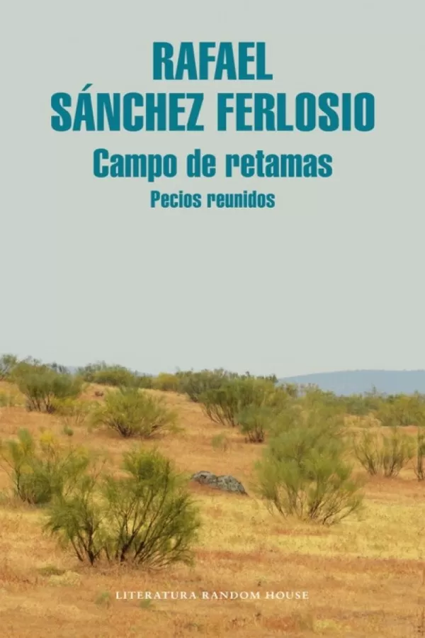 Campo de retamas_ Pecios reunidos
