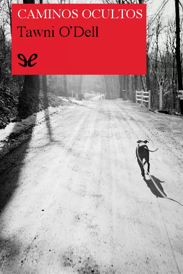 Caminos ocultos