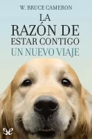 La razón de estar contigo. Un nuevo viaje